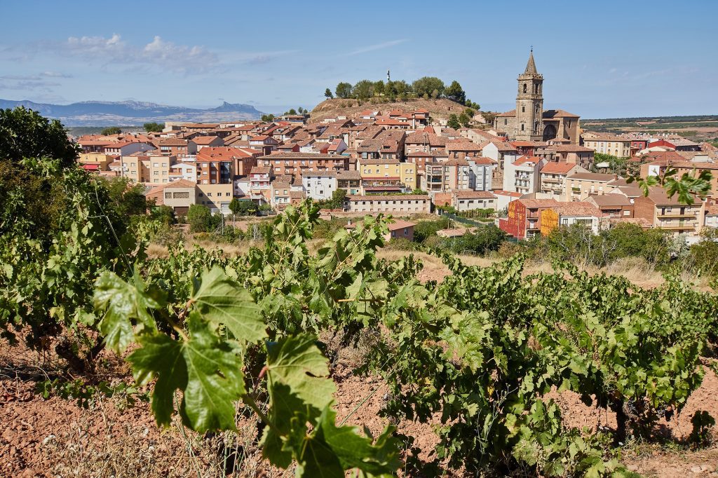 Mejores Ofertas de Fibra Óptica en La Rioja en 2023.